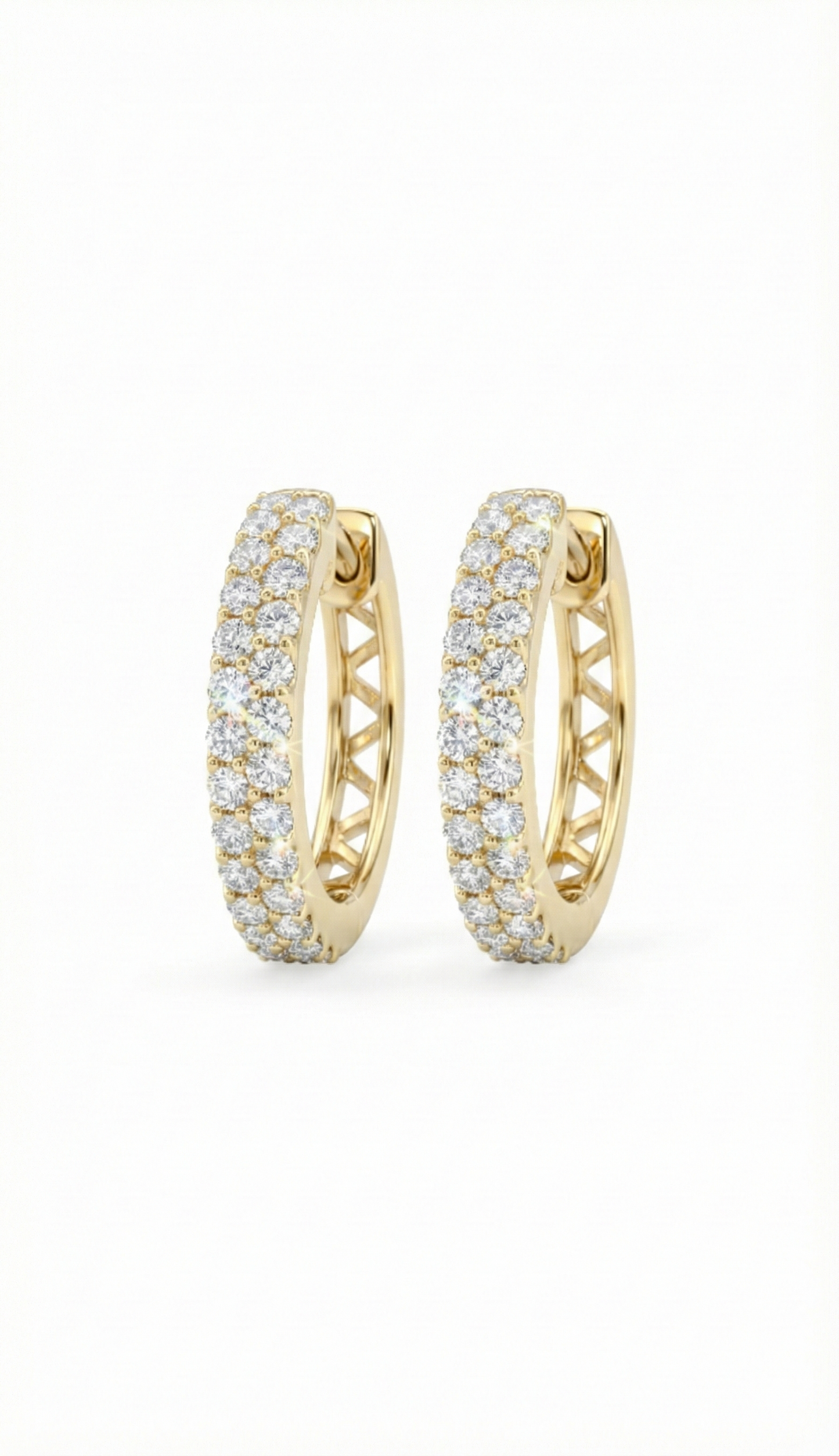 Luxury Loops Earrings
